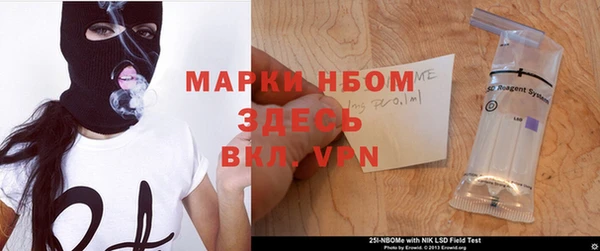 сатива Алзамай