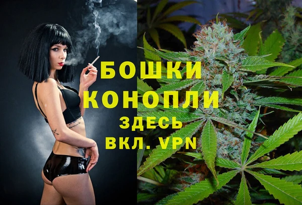 сатива Алзамай