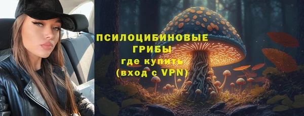 шишки Алексин