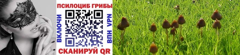 Псилоцибиновые грибы прущие грибы  где купить наркоту  Дмитриев 